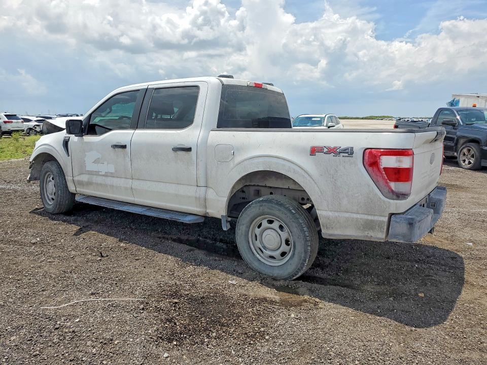 2023 Ford F150 მანქანა იყიდება აუქციონზე, vin: 1FTEW1EP7PFC21456, აუქციონის ნომერი: 53101716