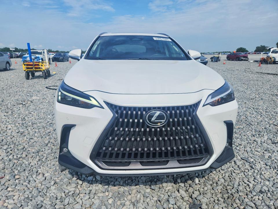 Продажа на аукционе авто 2024 Lexus Nx, vin: JTJGDCAZ0R5013569, номер лота: 53051086