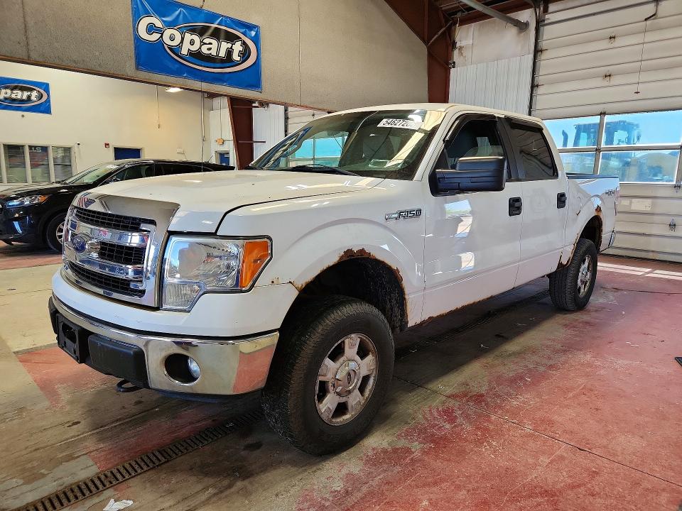 54627266 :رقم المزاد ، 1FTFW1EF5EFA31986 vin ، 2014 Ford F150 مزاد بيع