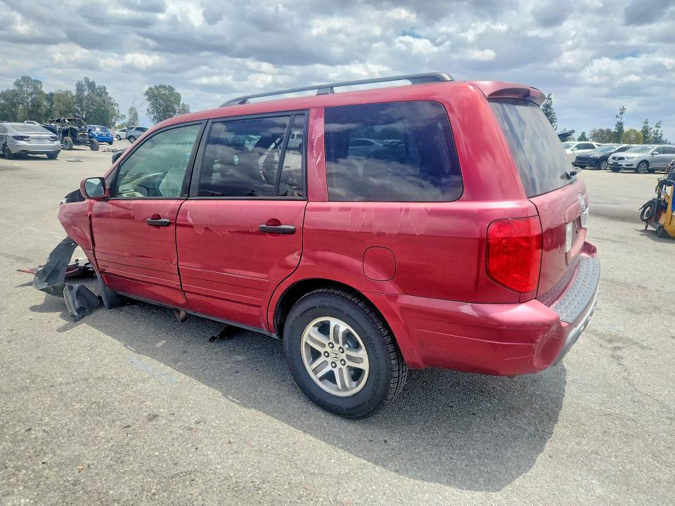 2005 Honda Pilot მანქანა იყიდება აუქციონზე, vin: 2HKYF18795H569903, აუქციონის ნომერი: 55158686