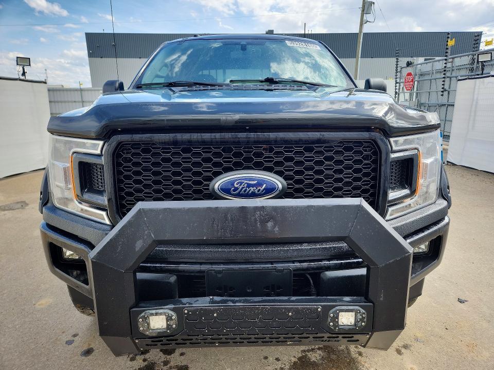 Продаж на аукціоні авто 2019 Ford F150, vin: 1FTEW1EP2KFB66939, номер лоту: 53928186