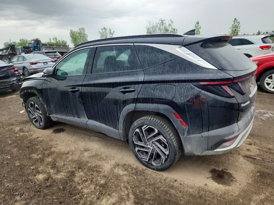 Продажа на аукционе авто 2025 Hyundai Tucson, vin: KM8JCDD17SU336211, номер лота: 54826786