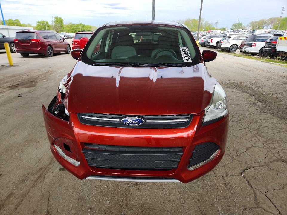 Продаж на аукціоні авто 2014 Ford Escape, vin: 1FMCU0GX3EUA12322, номер лоту: 52648536