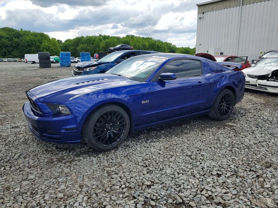 53718936 :رقم المزاد ، 1ZVBP8CF5E5251736 vin ، 2014 Ford Mustang مزاد بيع