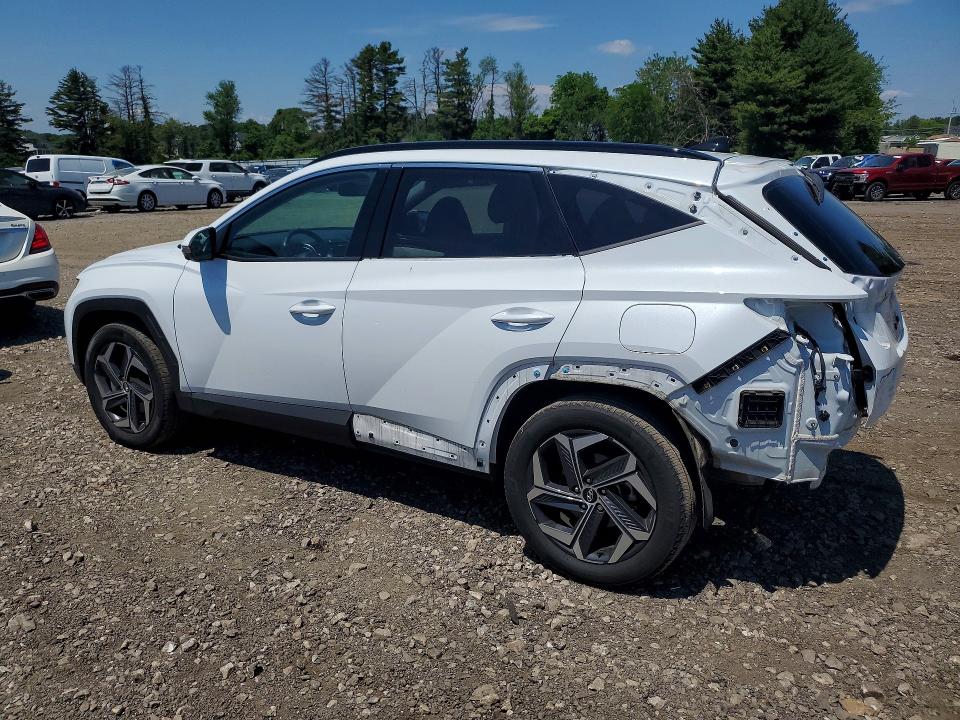 Продажа на аукционе авто 2024 Hyundai Tucson, vin: KM8JFDD27RU204902, номер лота: 53670506