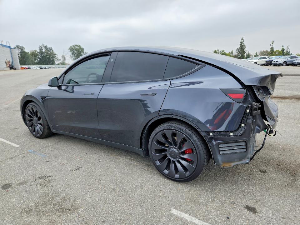 Продаж на аукціоні авто 2024 Tesla Model Y, vin: 7SAYGDEF3RF024491, номер лоту: 53941436