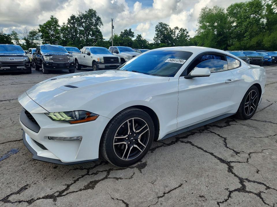 2019 Ford Mustang მანქანა იყიდება აუქციონზე, vin: 1FA6P8TH6K5166590, აუქციონის ნომერი: 54641256