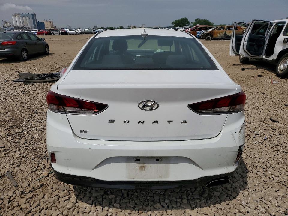 54372116 :رقم المزاد ، 5NPE24AF0KH739109 vin ، 2019 Hyundai Sonata مزاد بيع