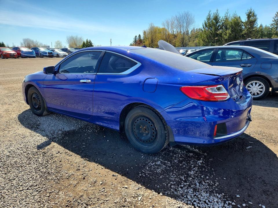 53216166 :رقم المزاد ، 1HGCT1B87DA800924 vin ، 2013 Honda Accord مزاد بيع