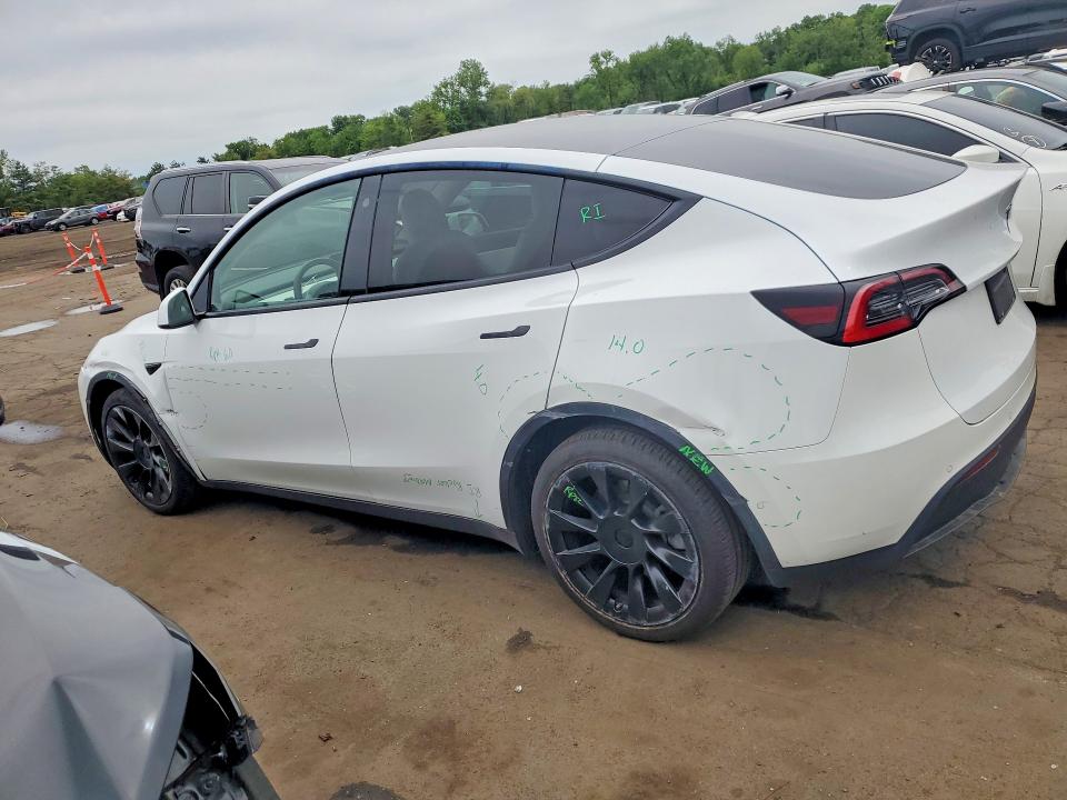 53542206 :رقم المزاد ، 5YJYGDEE4MF121051 vin ، 2021 Tesla Model Y مزاد بيع
