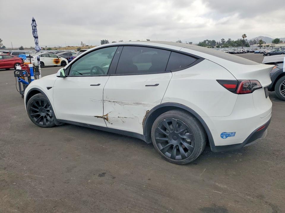 Продаж на аукціоні авто 2021 Tesla Model Y, vin: 5YJYGDEEXMF217489, номер лоту: 53107106