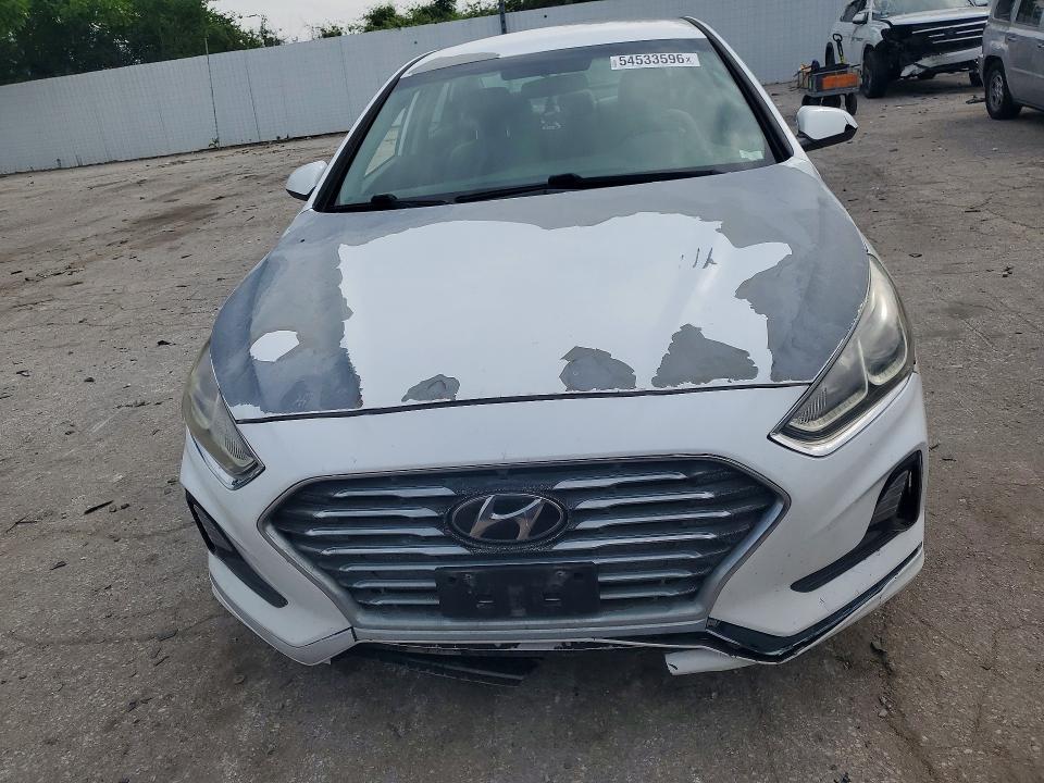Продажа на аукционе авто 2019 Hyundai Sonata, vin: 5NPE24AF5KH768914, номер лота: 54533596
