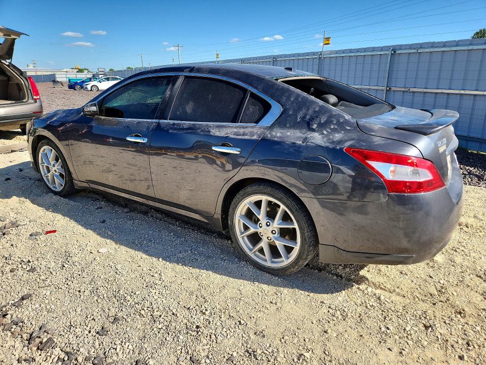 2009 Nissan Maxima მანქანა იყიდება აუქციონზე, vin: 1N4AA51E69C819556, აუქციონის ნომერი: 52952126