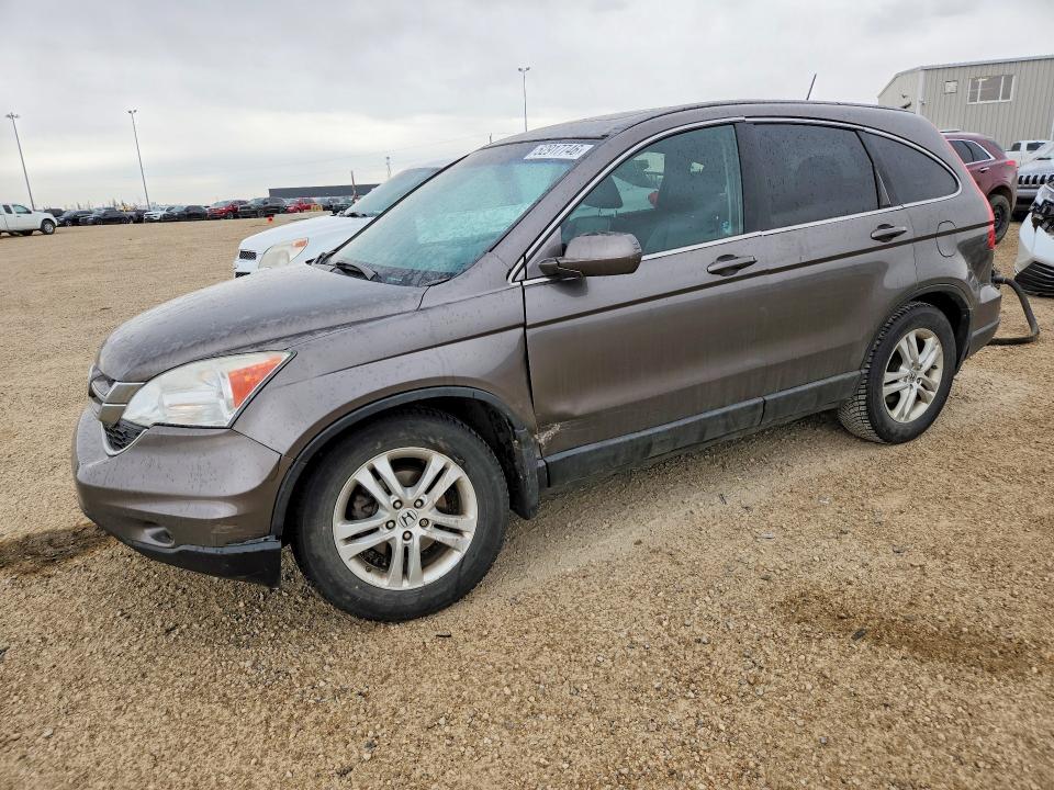 Продажа на аукционе авто 2010 Honda Cr-v, vin: 5J6RE4H73AL800657, номер лота: 52917746