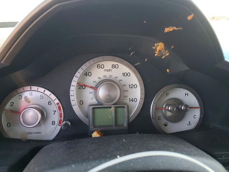 Продаж на аукціоні авто 2009 Honda Pilot, vin: 5FNYF48679B013764, номер лоту: 53368956