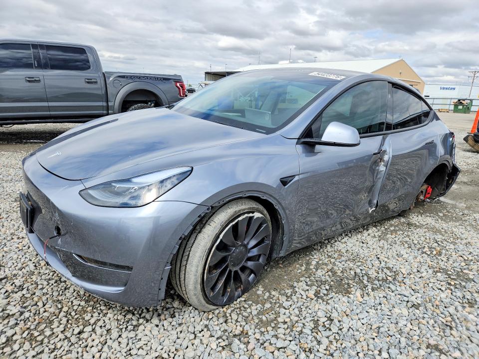 Aukcja sprzedaży 2024 Tesla Model Y, vin: 7SAYGDEF7RF182221, numer aukcji: 54423776