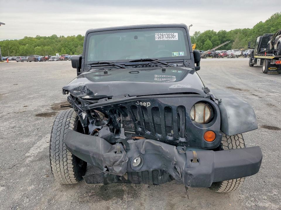 Продажа на аукционе авто 2010 Jeep Wrangler, vin: 1J4AA2D14AL102475, номер лота: 52813036