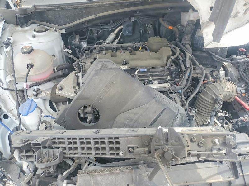53429246 :رقم المزاد ، 5XYK6CDF2RG199423 vin ، 2024 Kia Sportage مزاد بيع