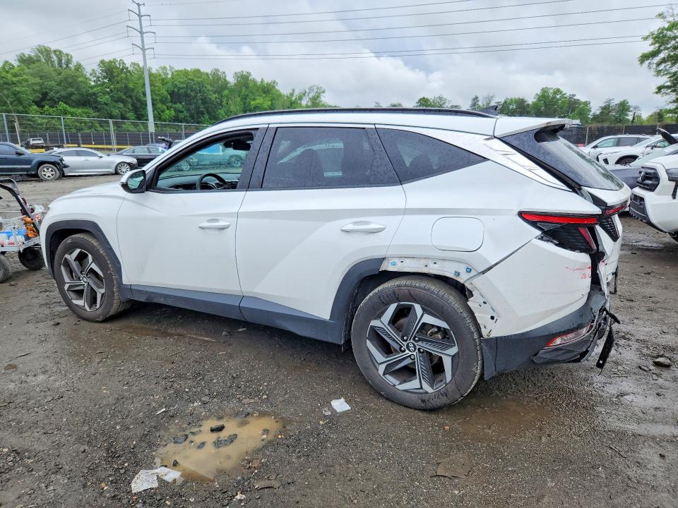 Продажа на аукционе авто 2024 Hyundai Tucson, vin: 5NMJF3DE0RH366628, номер лота: 54868026