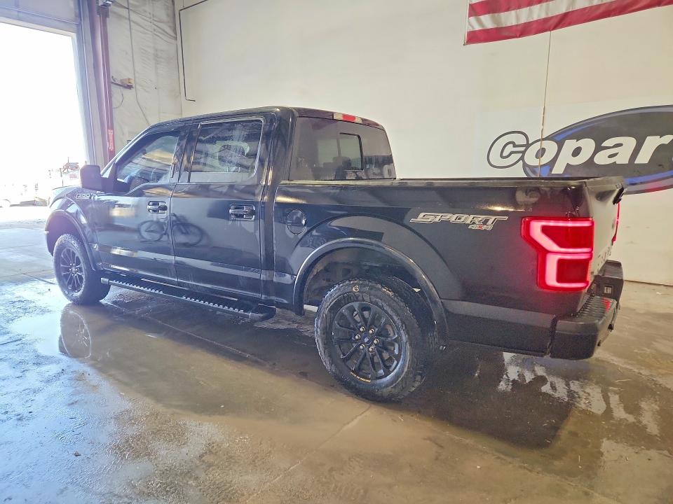 Продаж на аукціоні авто 2019 Ford F150, vin: 1FTEW1EP5KFB40416, номер лоту: 52907746