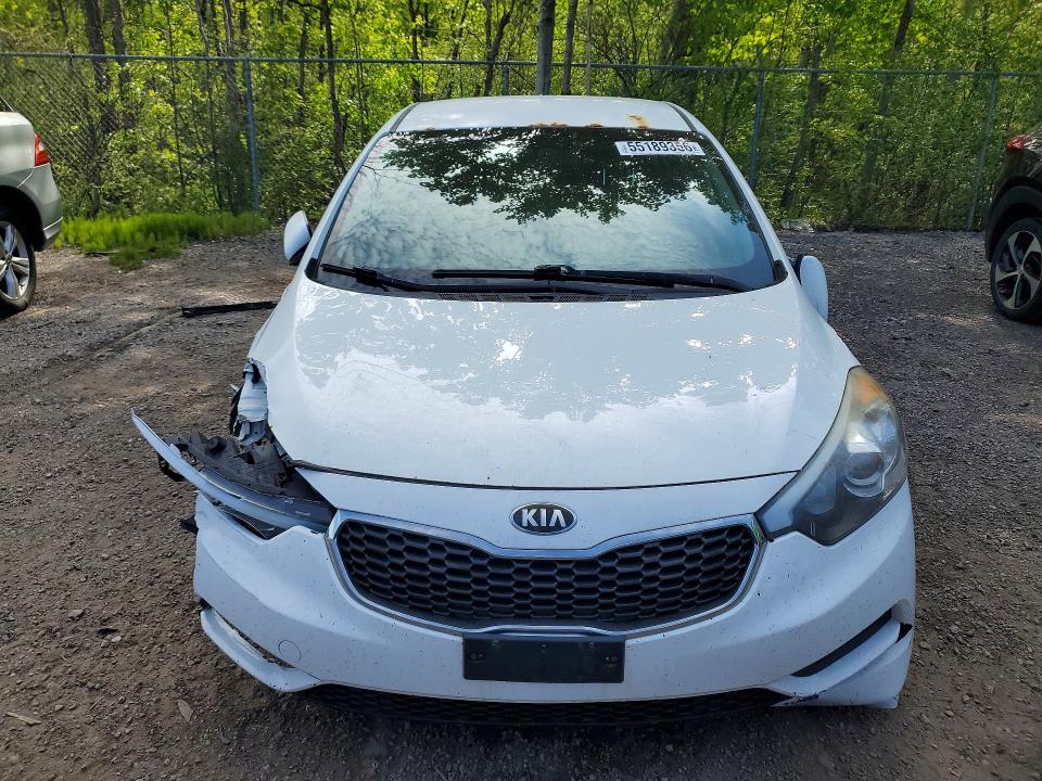 Продаж на аукціоні авто 2016 Kia Forte, vin: KNAFK4A65G5608833, номер лоту: 55189356