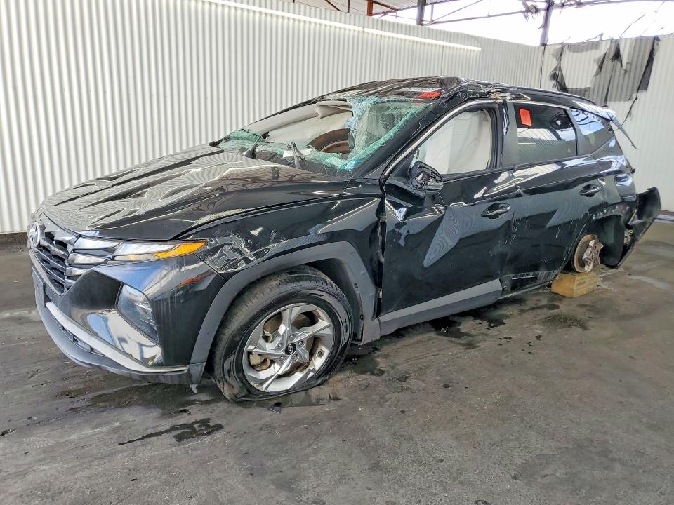 Auction sale of the 2023 Hyundai Tucson, vin: 5NMJBCAE7PH195924, lot number: 51914386