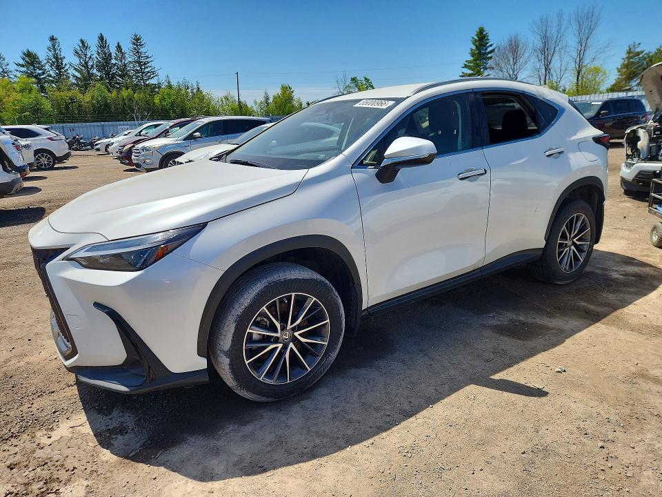 Aukcja sprzedaży 2022 Lexus Nx, vin: JTJAKCEZ5N5002244, numer aukcji: 55000966