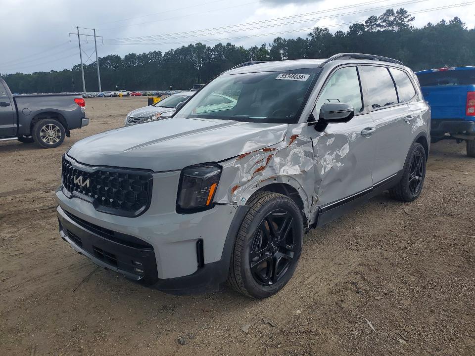 Aukcja sprzedaży 2024 Kia Telluride, vin: 5XYP5DGC2RG446259, numer aukcji: 55348036