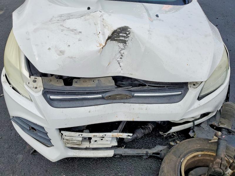 Продаж на аукціоні авто 2014 Ford Escape, vin: 1FMCU0G93EUE01219, номер лоту: 55196796