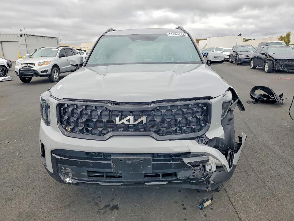 2024 Kia Telluride მანქანა იყიდება აუქციონზე, vin: 5XYP5DGC0RG508631, აუქციონის ნომერი: 55389236