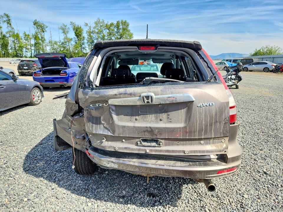 Aukcja sprzedaży 2010 Honda Cr-v, vin: 5J6RE4H72AL816056, numer aukcji: 53411506