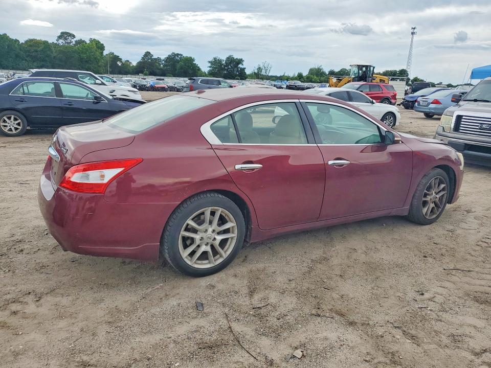 Продажа на аукционе авто 2010 Nissan Maxima, vin: 1N4AA5AP8AC804546, номер лота: 55109036