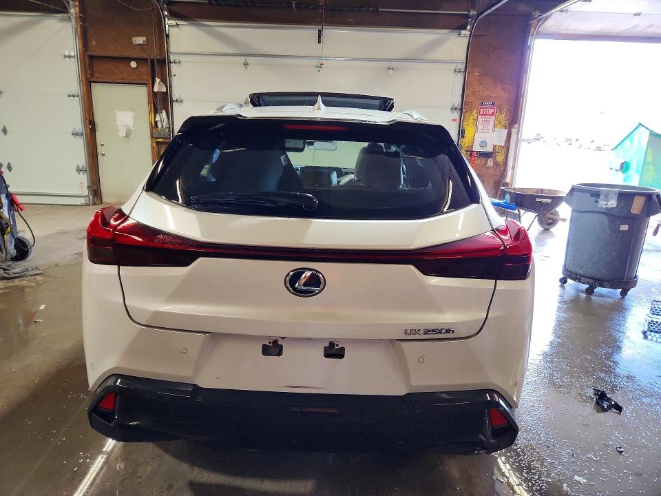 Продаж на аукціоні авто 2019 Lexus Ux, vin: JTHU9JBHXK2003591, номер лоту: 51765796