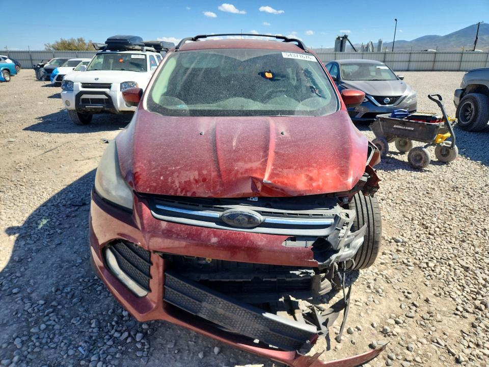Продажа на аукционе авто 2014 Ford Escape, vin: 1FMCU0GX5EUD02724, номер лота: 54371676