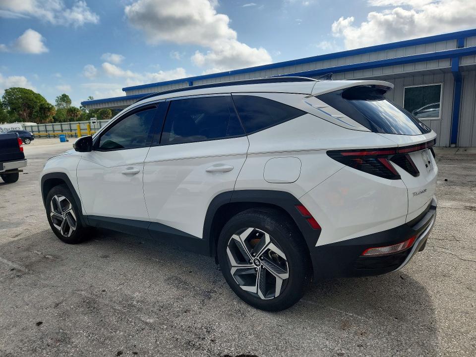 Продаж на аукціоні авто 2024 Hyundai Tucson, vin: 5NMJE3DE5RH385730, номер лоту: 54097806