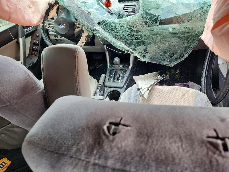 55155256 :رقم المزاد ، JF2SJAUC0FH821126 vin ، 2015 Subaru Forester مزاد بيع