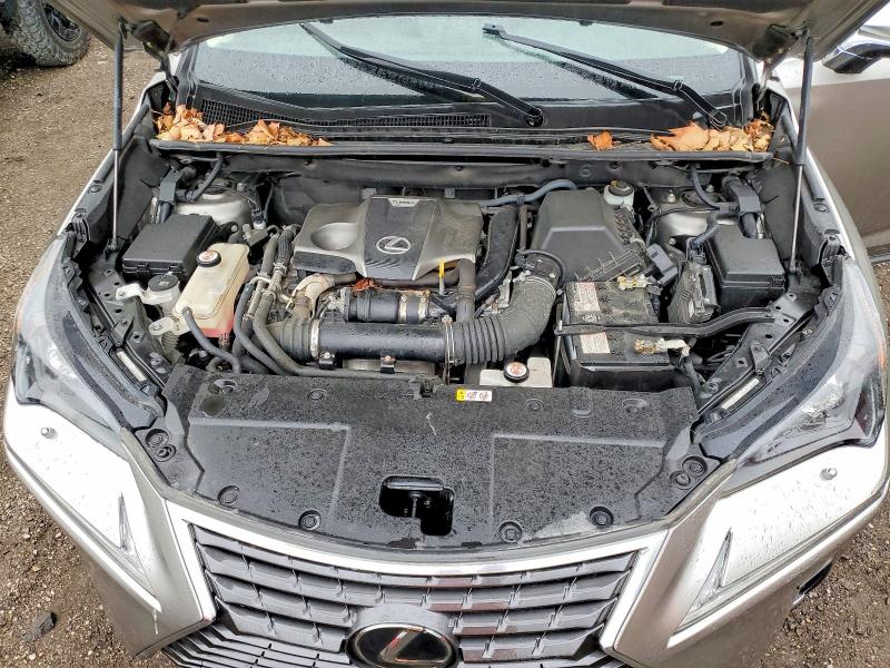 51953526 :رقم المزاد ، JTJGARDZ3L2220974 vin ، 2020 Lexus Nx مزاد بيع