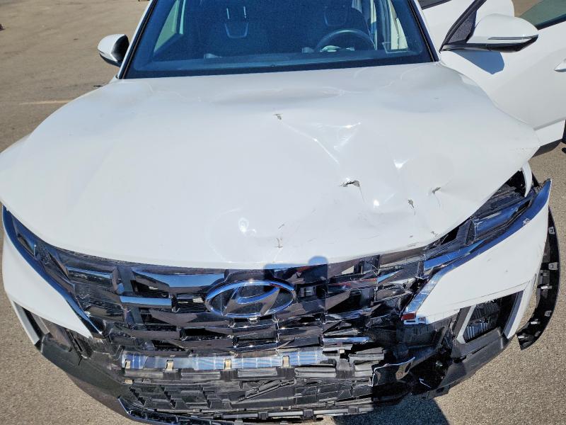 52875956 :رقم المزاد ، 5NTJEDAF6RH092071 vin ، 2024 Hyundai Santa Cruz مزاد بيع