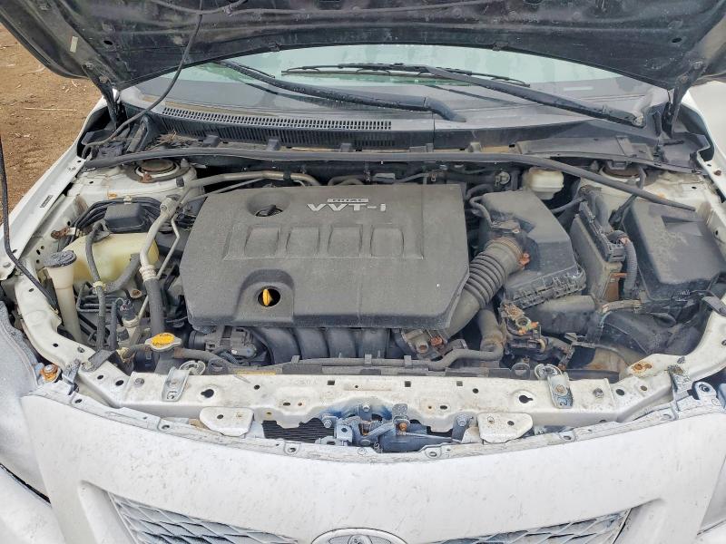 52532556 :رقم المزاد ، 2T1BU4EEXAC337467 vin ، 2010 Toyota Corolla مزاد بيع