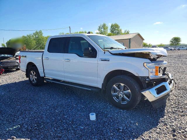 Aukcja sprzedaży 2020 Ford F150, vin: 1FTEW1EP7LFC81652, numer aukcji: 53343306