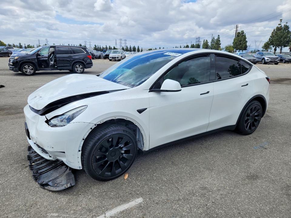 Продаж на аукціоні авто 2023 Tesla Model Y, vin: 7SAYGAEE9PF659881, номер лоту: 54917256