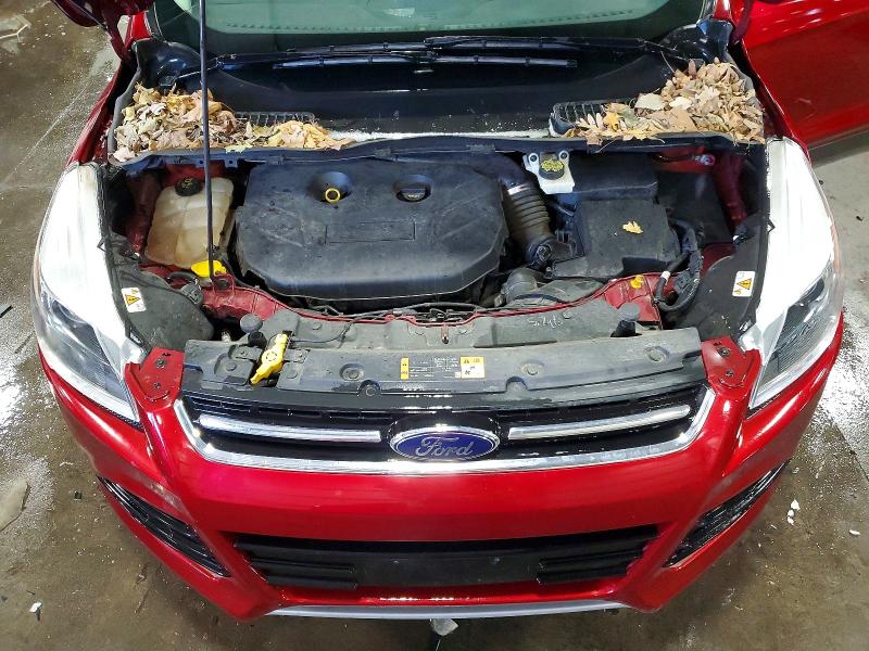 2014 Ford Escape მანქანა იყიდება აუქციონზე, vin: 1FMCU9J97EUD87564, აუქციონის ნომერი: 53285166