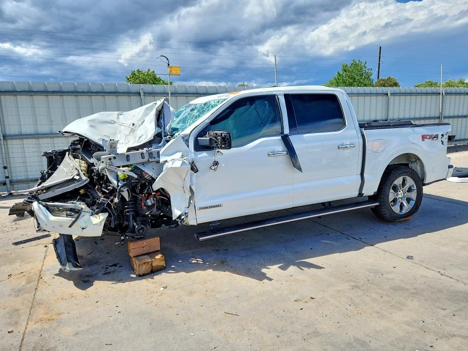 Продаж на аукціоні авто 2022 Ford F150, vin: 1FTFW1ED8NFA14582, номер лоту: 54905716