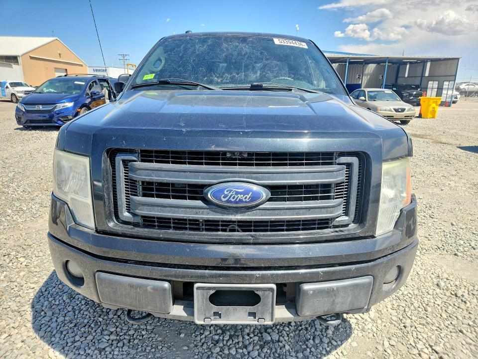 53394436 :رقم المزاد ، 1FTFW1EF5EKD52238 vin ، 2014 Ford F150 مزاد بيع