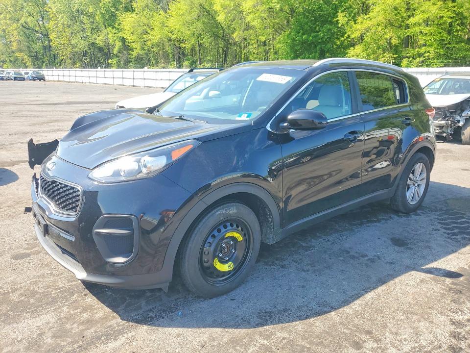 Auction sale of the 2017 Kia Sportage, vin: KNDPM3AC3H7034675, lot number: 52051656