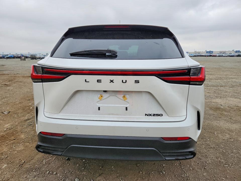 Aukcja sprzedaży 2025 Lexus Nx 250, vin: 2T2ADCAZ2SC030015, numer aukcji: 53320946