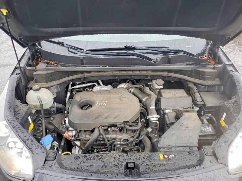 55053076 :رقم المزاد ، KNDPR3A66H7075958 vin ، 2017 Kia Sportage مزاد بيع