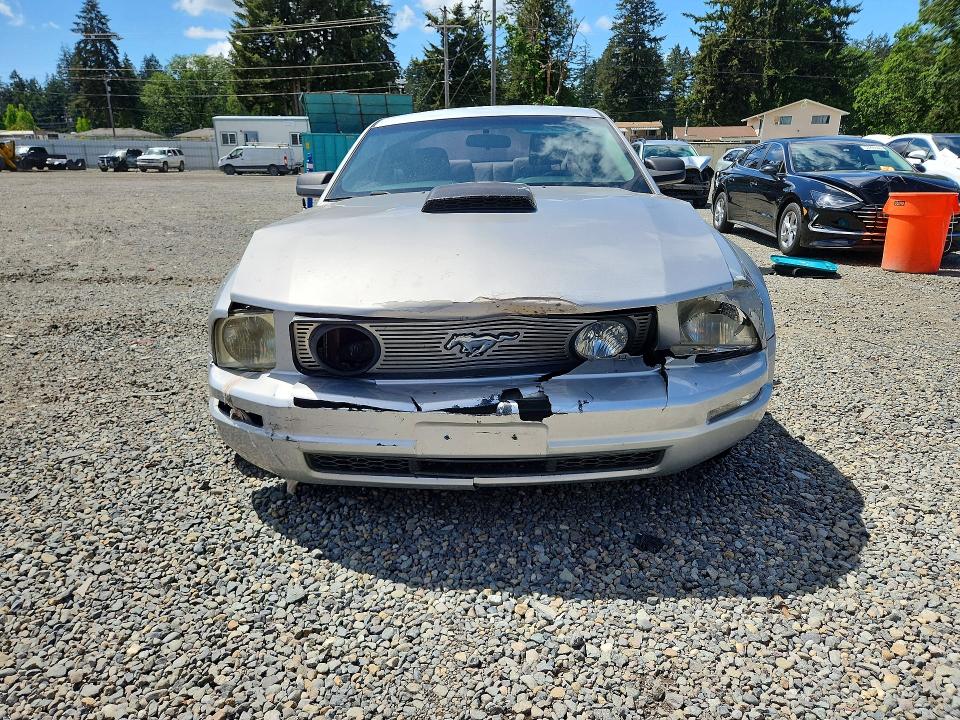 53039416 :رقم المزاد ، 1ZVHT80N295100330 vin ، 2009 Ford Mustang مزاد بيع