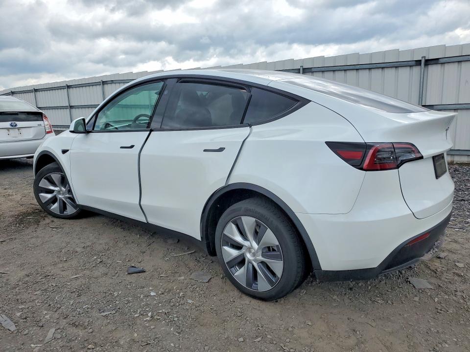 Продаж на аукціоні авто 2024 Tesla Model Y, vin: 7SAYGDED8RF086824, номер лоту: 53311046