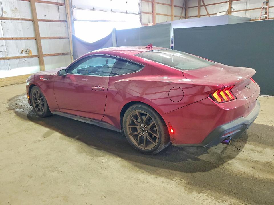 52254806 :رقم المزاد ، 1FA6P8TH4S5102855 vin ، 2025 Ford Mustang مزاد بيع